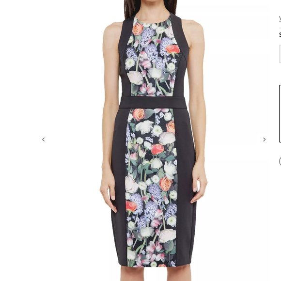 NWT TED BAKER Akva Kensington Floral Dress - Picture 2 of 12
